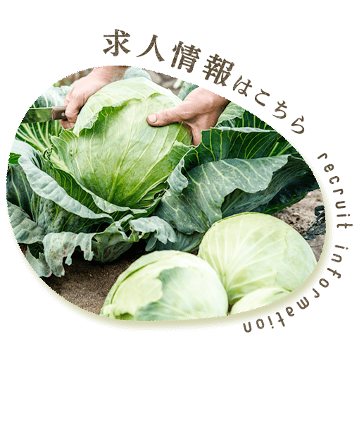 求人情報はこちら