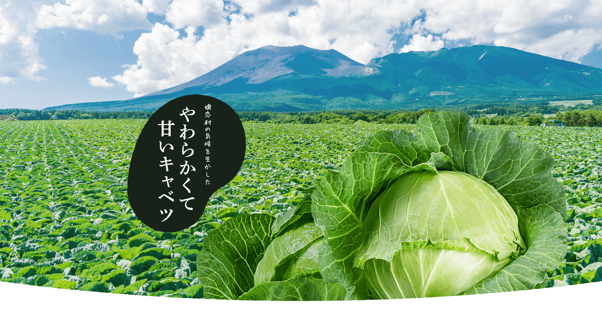 slide_01