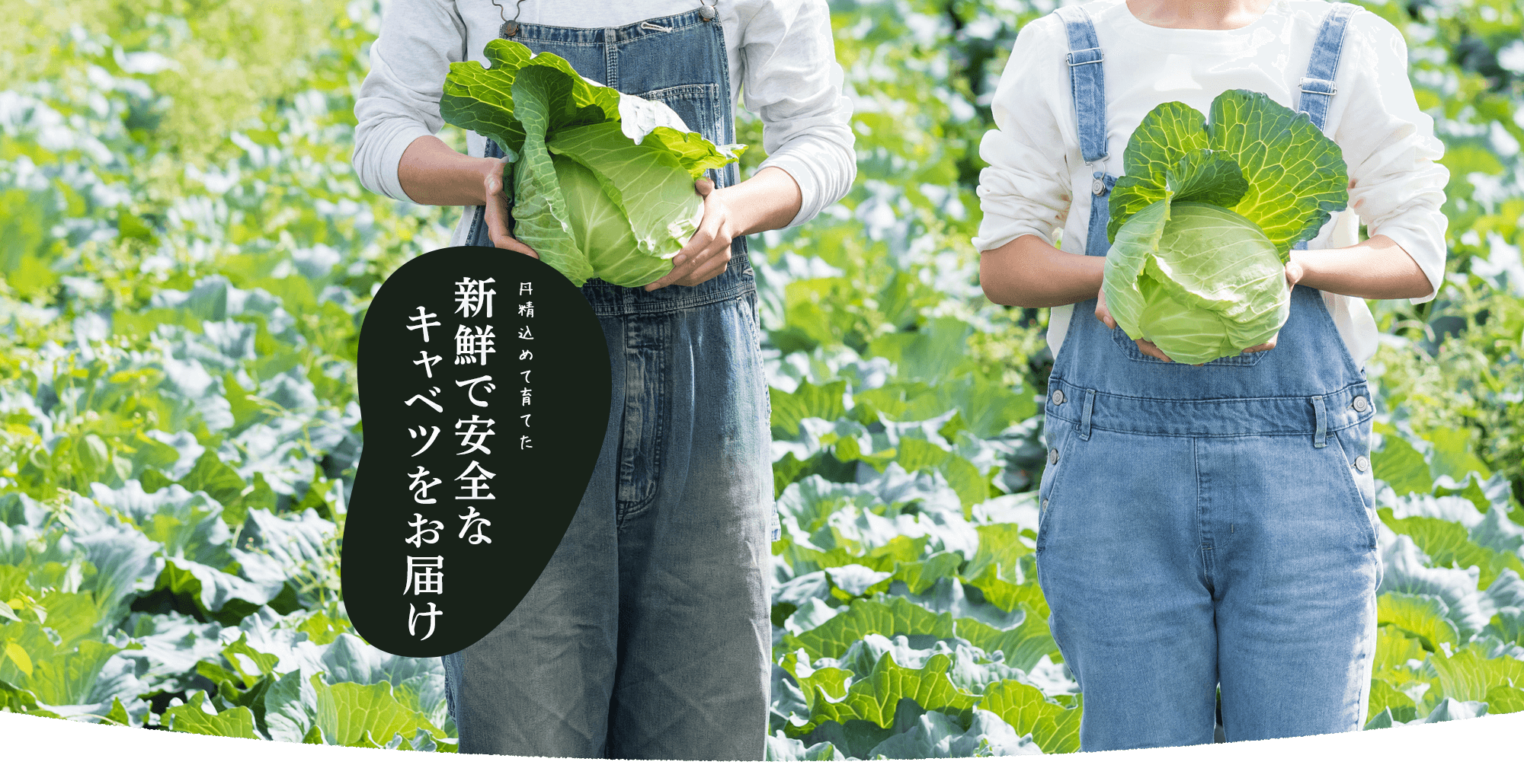 slide_02